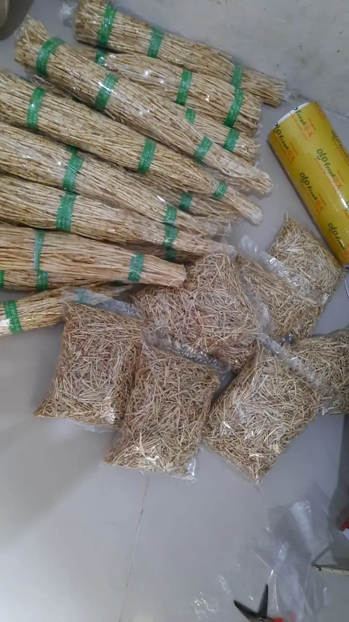 183730_ff904ab81f103d2446ddd2b1ca91cc82-3_1_2023 06.33.37(1)